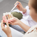 Photograph of patient education using a dental model during a dental implant consultation.