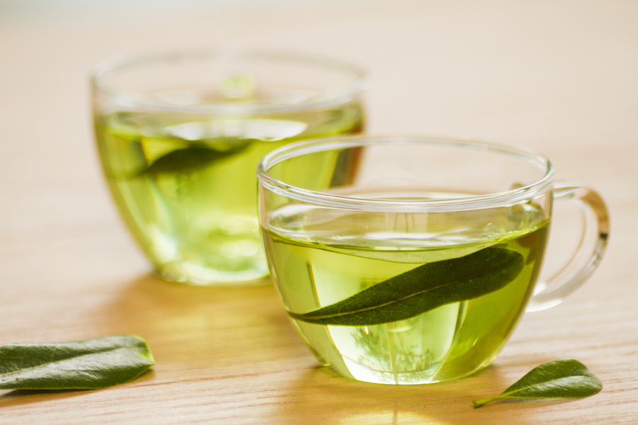 green tea, catechins, gum health, oral health